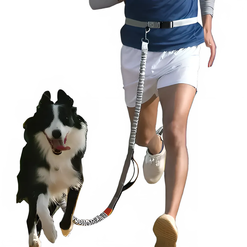 62f1e36b-0beb-45c5-a154-353fdf2dbead