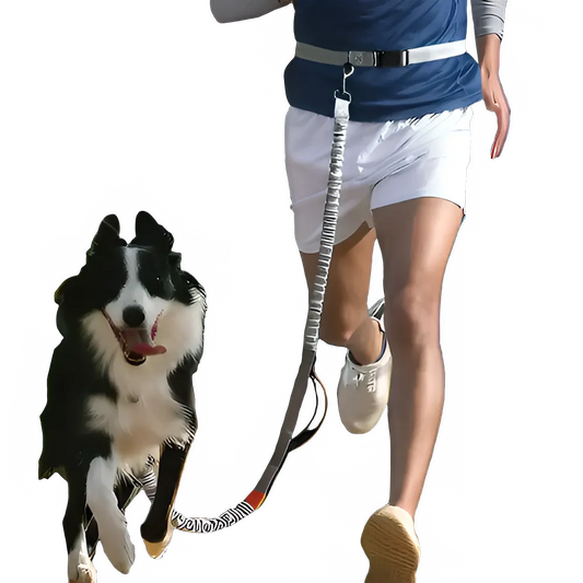 62f1e36b-0beb-45c5-a154-353fdf2dbead