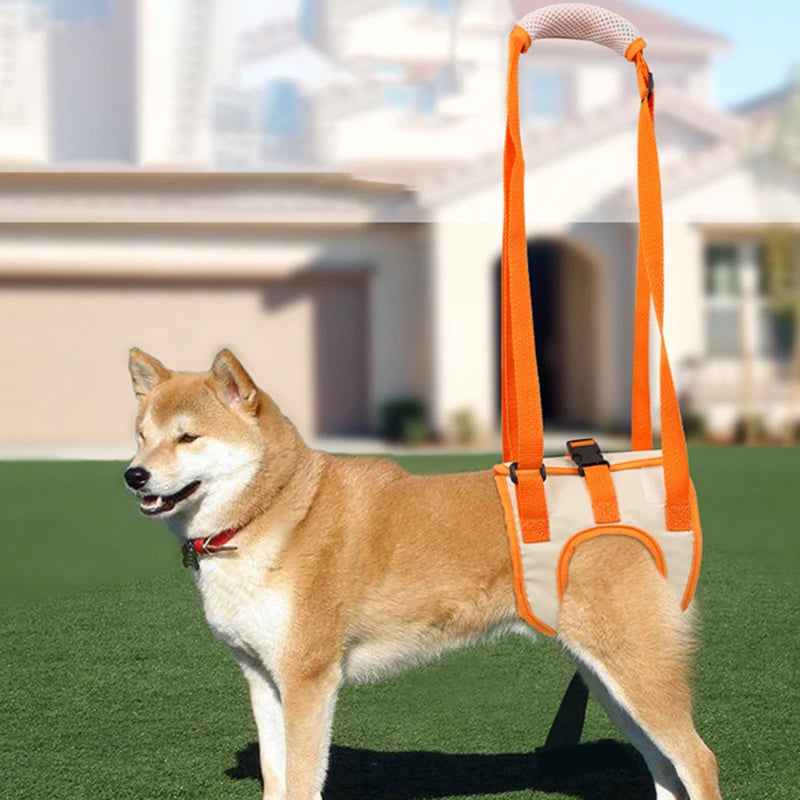 Scbd93e3162ad4678b9577ca3780eca7ec